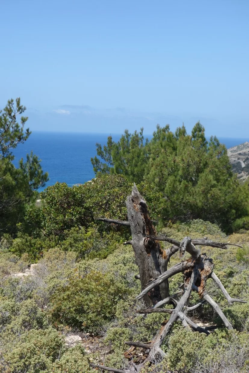 Westküste Rhodos