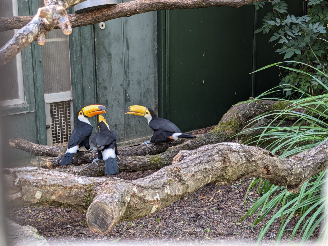 Zoo Wilhelma