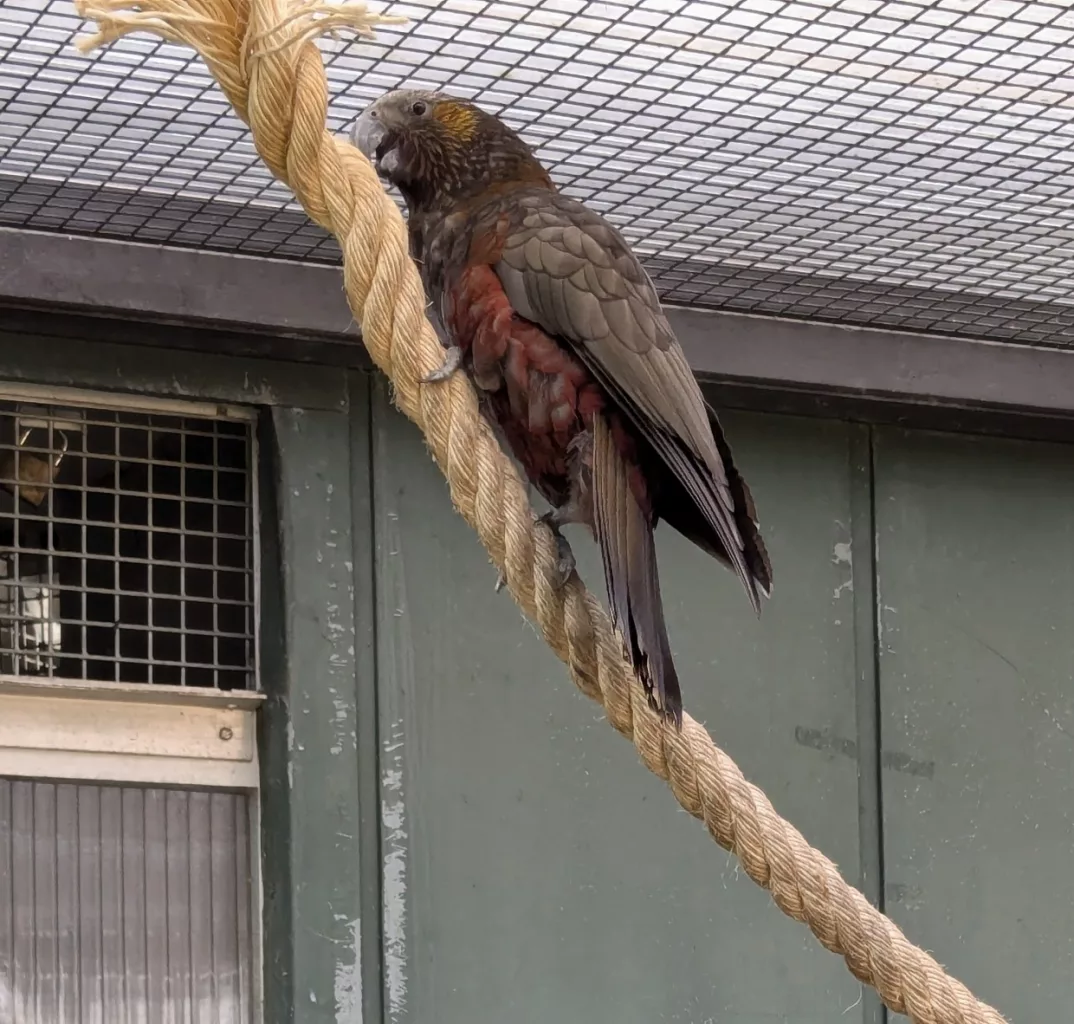 Zoo Wilhelma