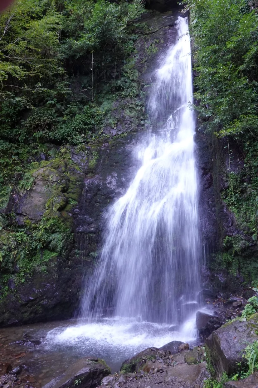 Batumi Nationalpark Mtirala