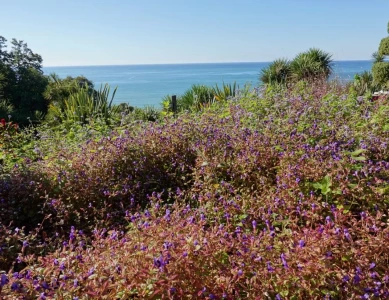 Georgien – Grandiose Fahrt vom Großen Kaukasus zum Schwarzen Meer