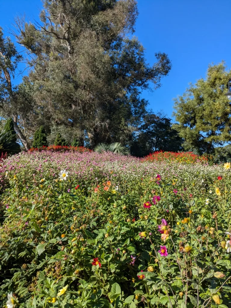 Georgien Batumi Botanischer Garten