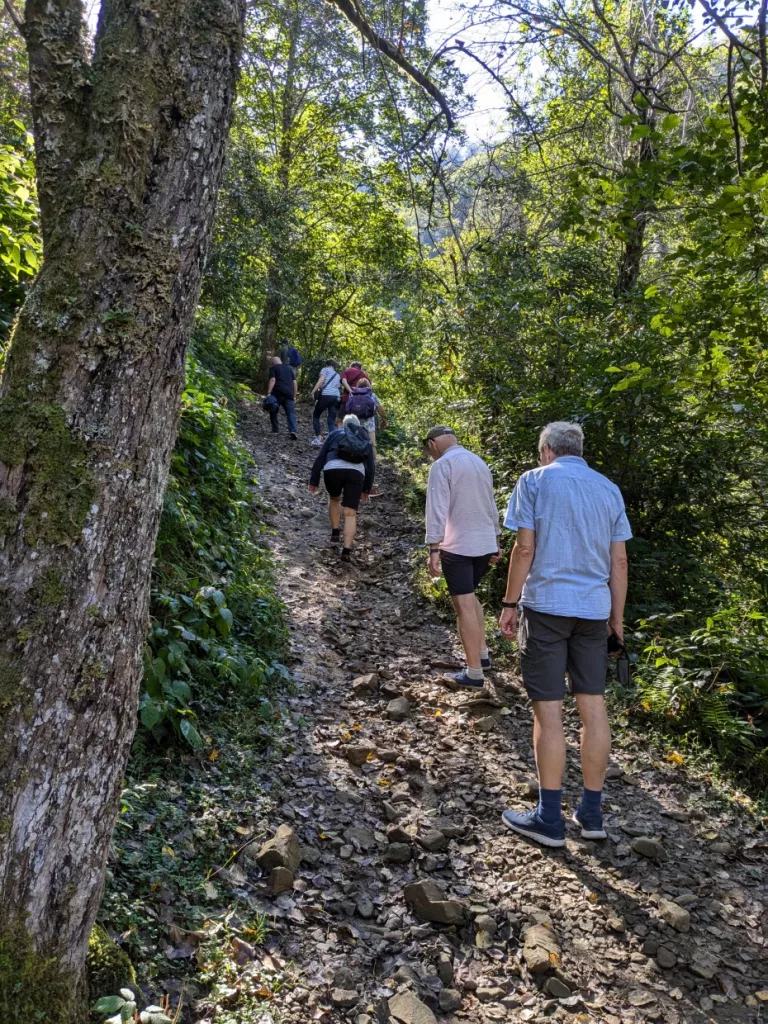 Batumi Nationalpark Mtirala