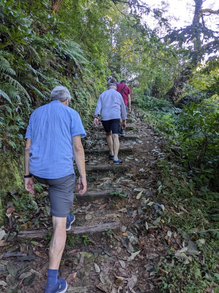 Batumi Nationalpark Mtirala
