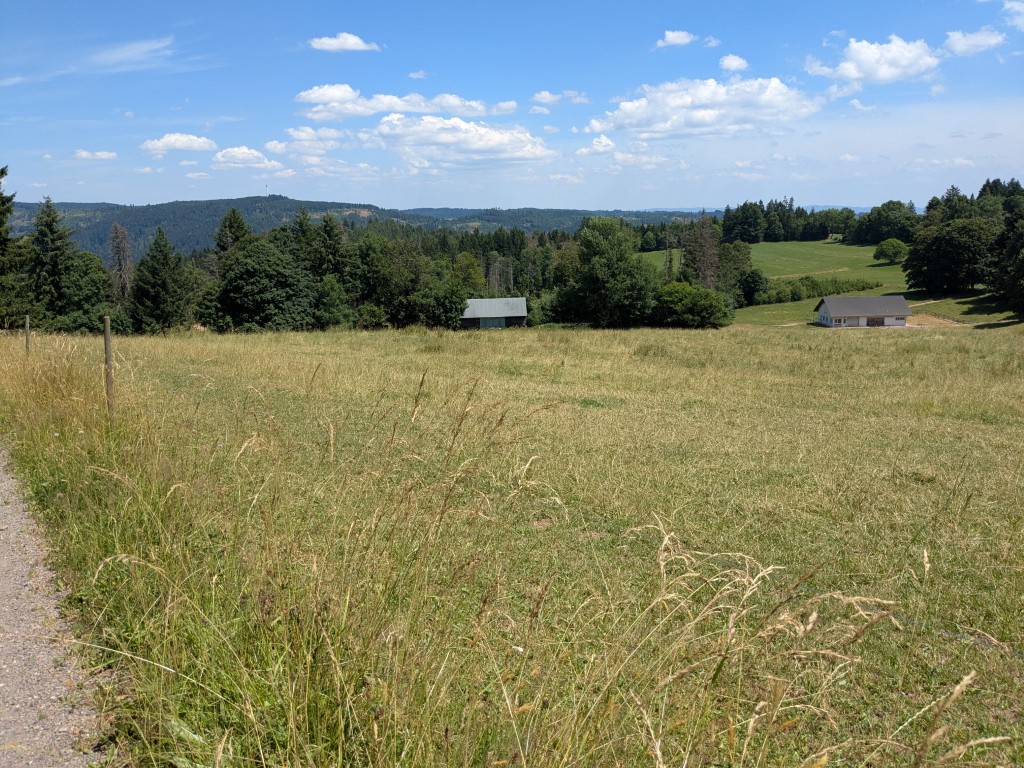 Höchenschwand - Fuchsfelsenblick