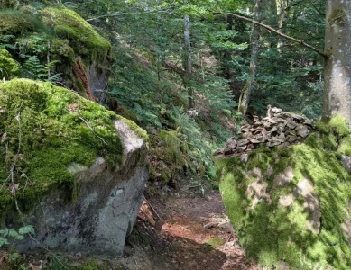 Abenteuerliche Felsenweg-Wanderung