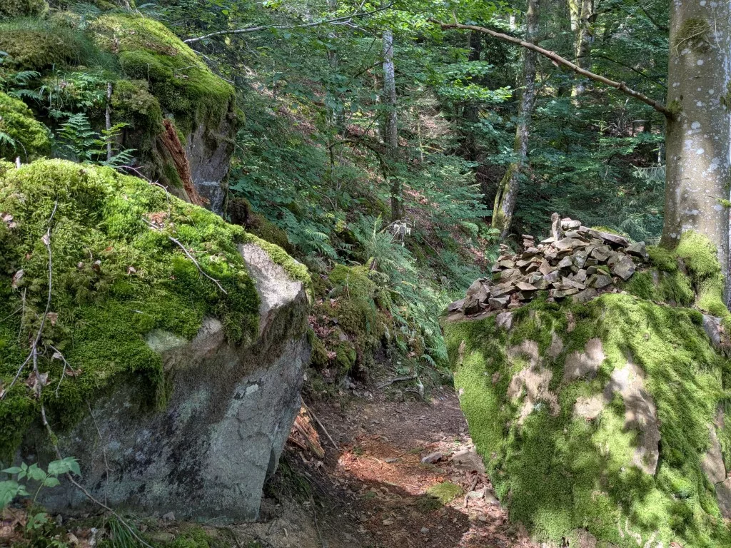 Abenteuerliche Felsenweg-Wanderung