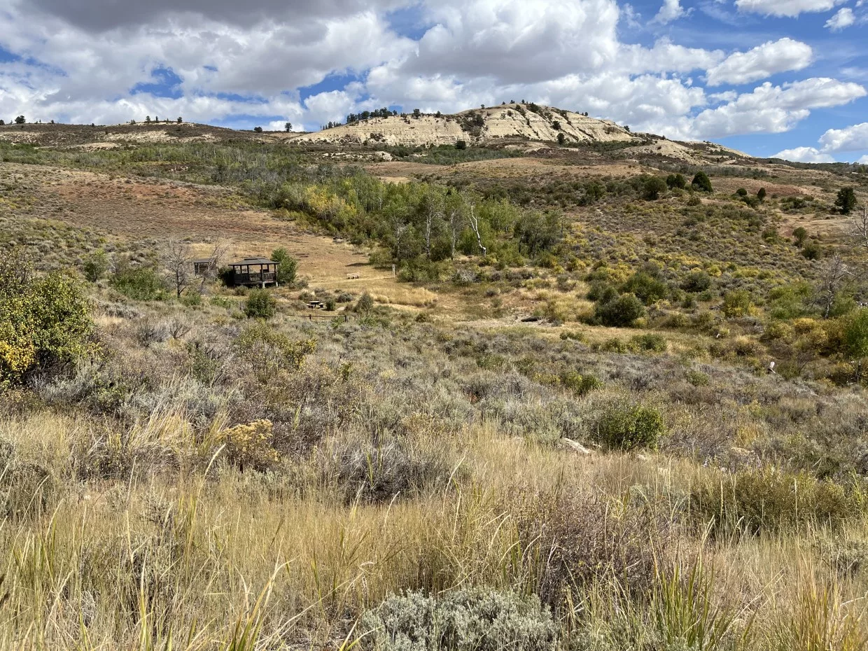 Vom Grünen ins Trockene – Über Fossil Butte und Fort Bridger zur Flaming Gorge