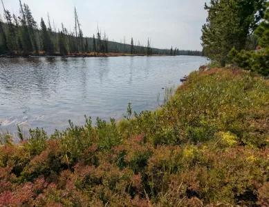 Abschied vom Yellowstone Nationalpark