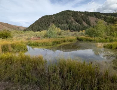 Abgeschieden und ruhig am Little White Creek (Allred Flat Campground)