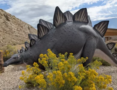 Ab in die Zeit der Dinosaurier, ins Dinosaur National Monument