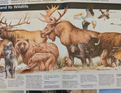 Wieder einmal über den großen Teich