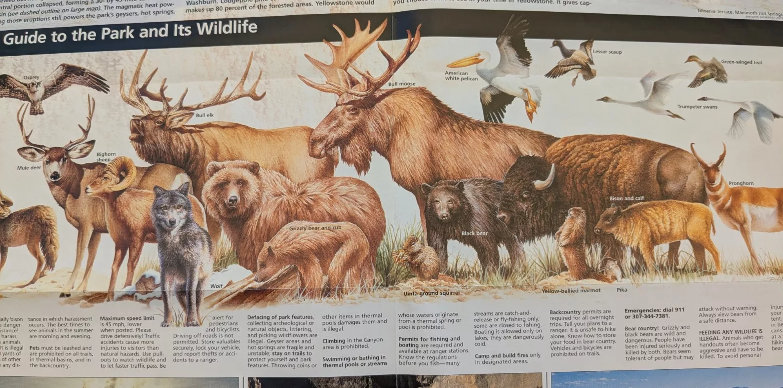 Wieder einmal über den großen Teich