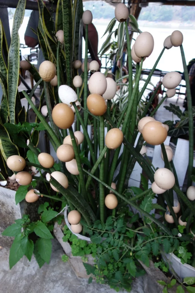 Von Antik bis Modern