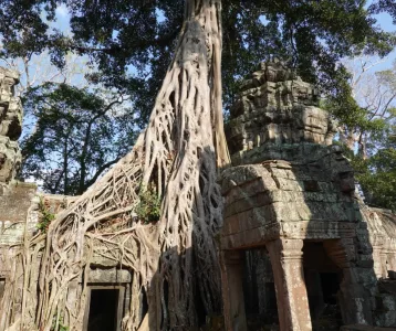 Die Ruinenstadt Angkor