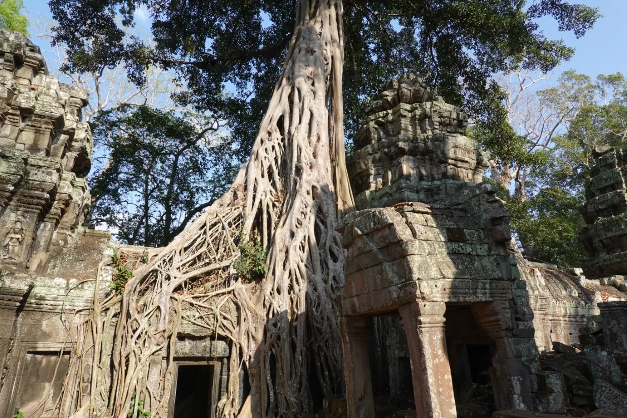 Die Ruinenstadt Angkor