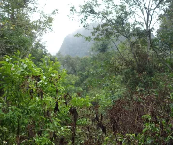 Morgens noch auf Cat Ba Island abends in Hue