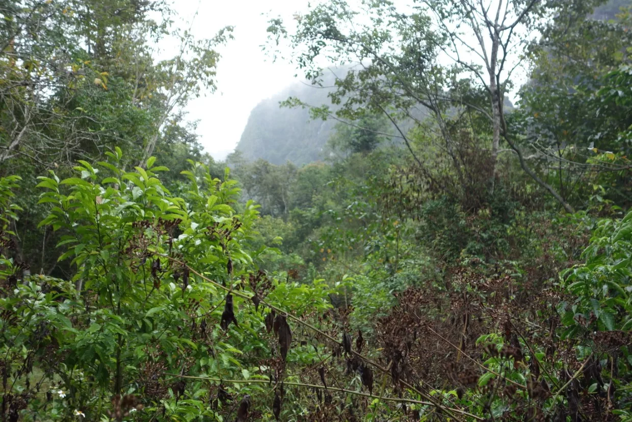 Morgens noch auf Cat Ba Island abends in Hue